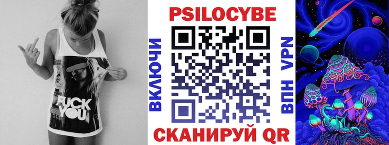 shop как зайти Валдай Псилоцибиновые грибы Psilocybe
